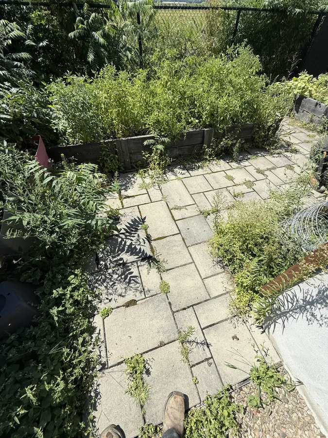 Avant - Nettoyage entrée résidentielle en pavé-uni à L'Assomption Lanaudière